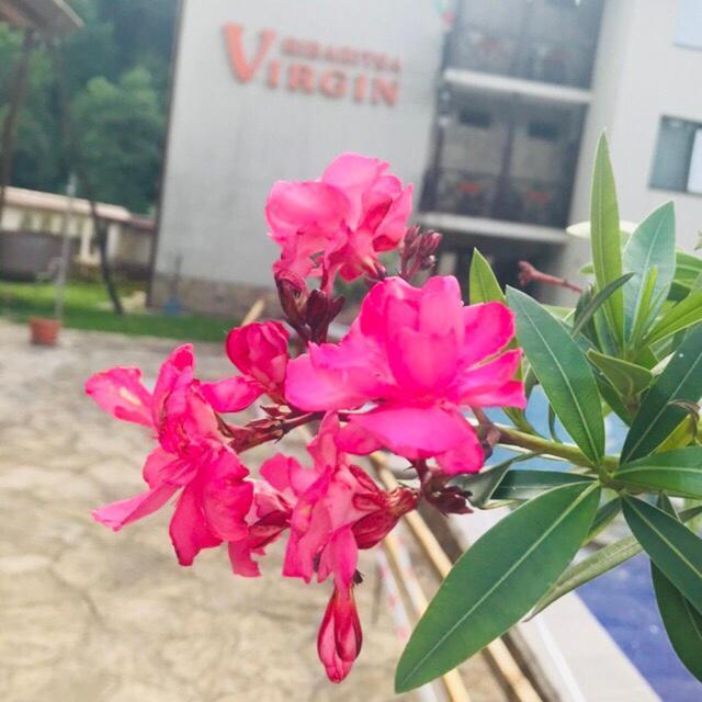 Family Hotel Virgin รีบาริตซา ภายนอก รูปภาพ